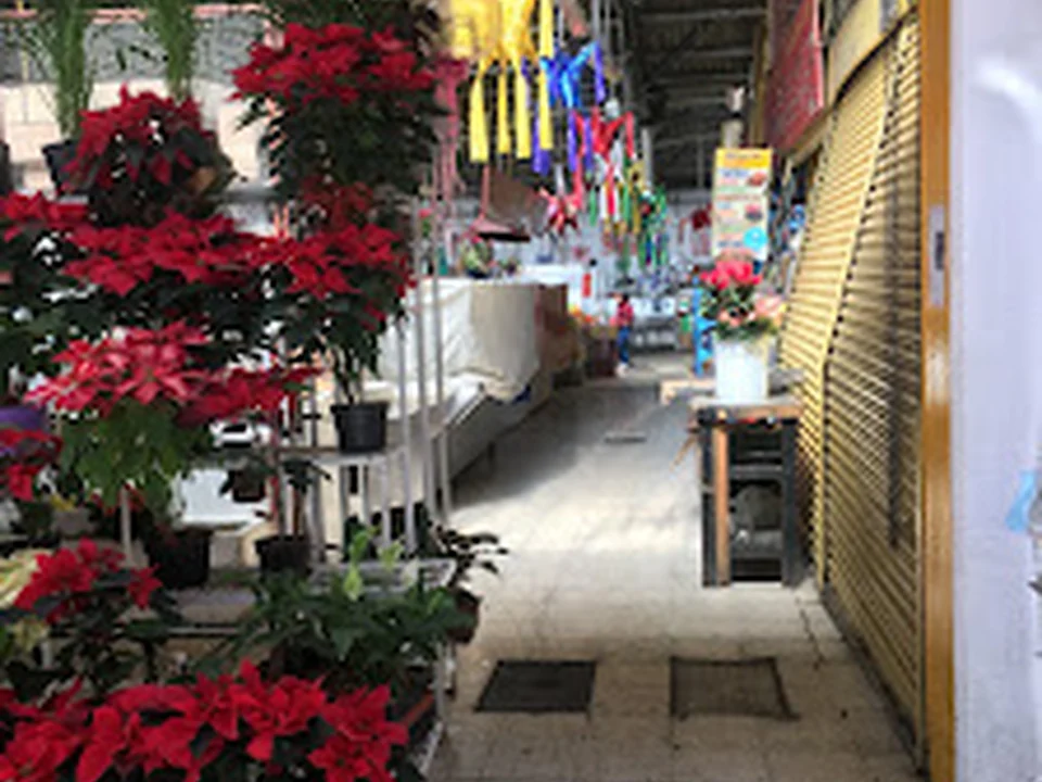 Mercado Cuauhtémoc, Ciudad de México