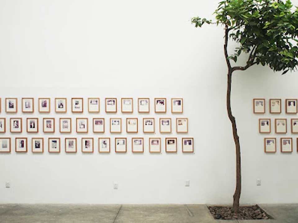 Patricia Conde Galería, Ciudad de México
