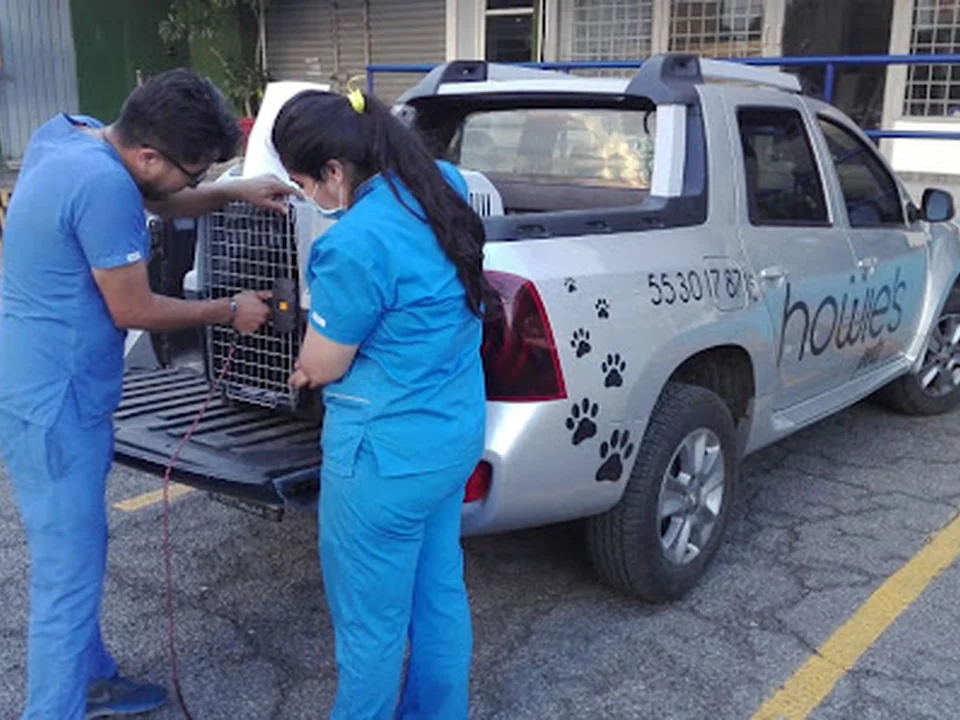 Hotel Veterinaria Xolo Amor, Ciudad de México