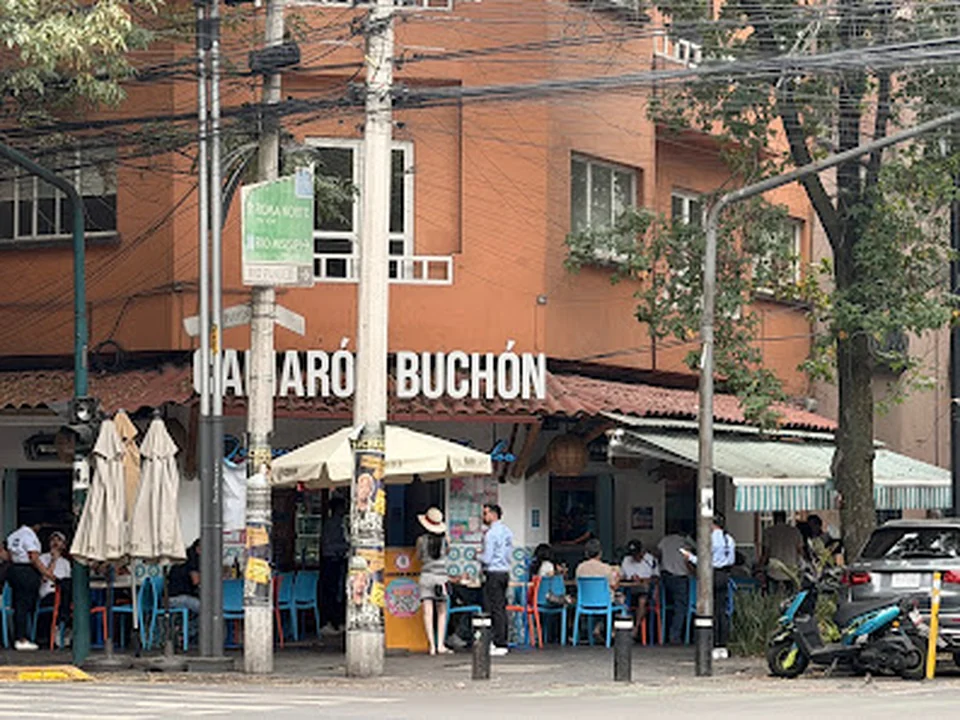 Camarón Buchón ROMA, Ciudad de México