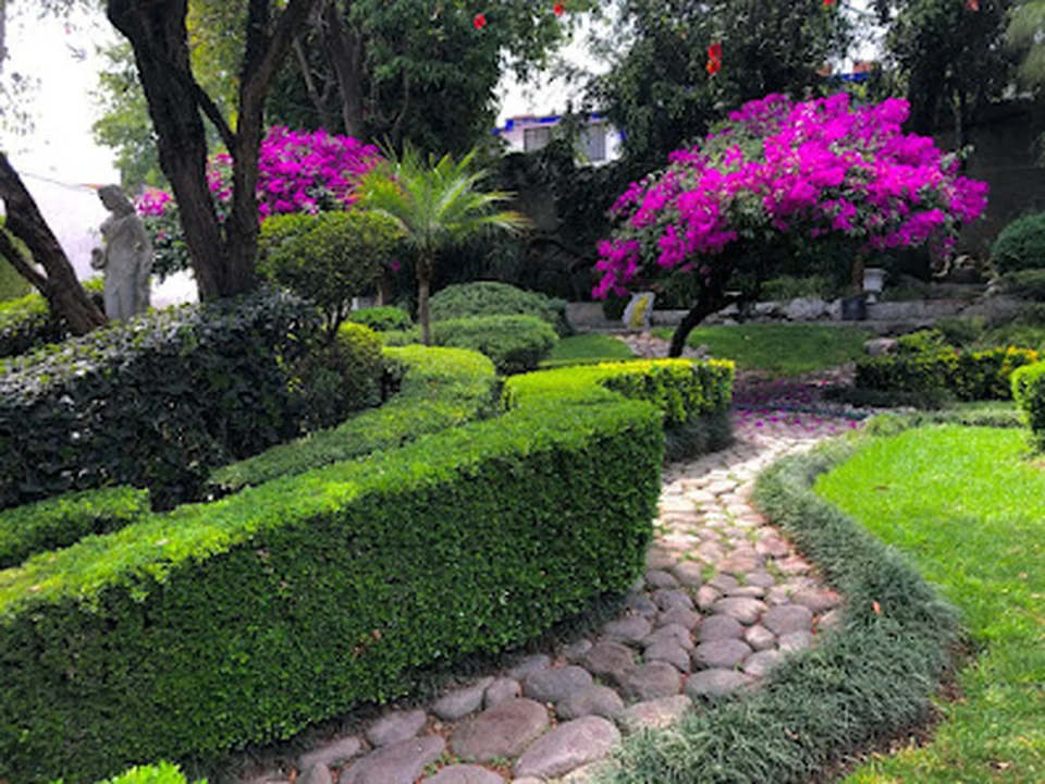 Jardinería 2000 S.A., Ciudad de México