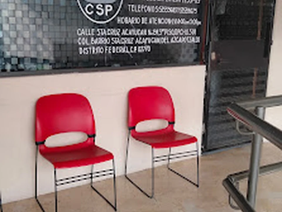 Consultoría En Seguridad Privada, Ciudad de México