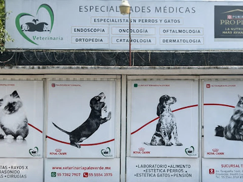 Hospital Veterinario Palo Verde, Ciudad de México