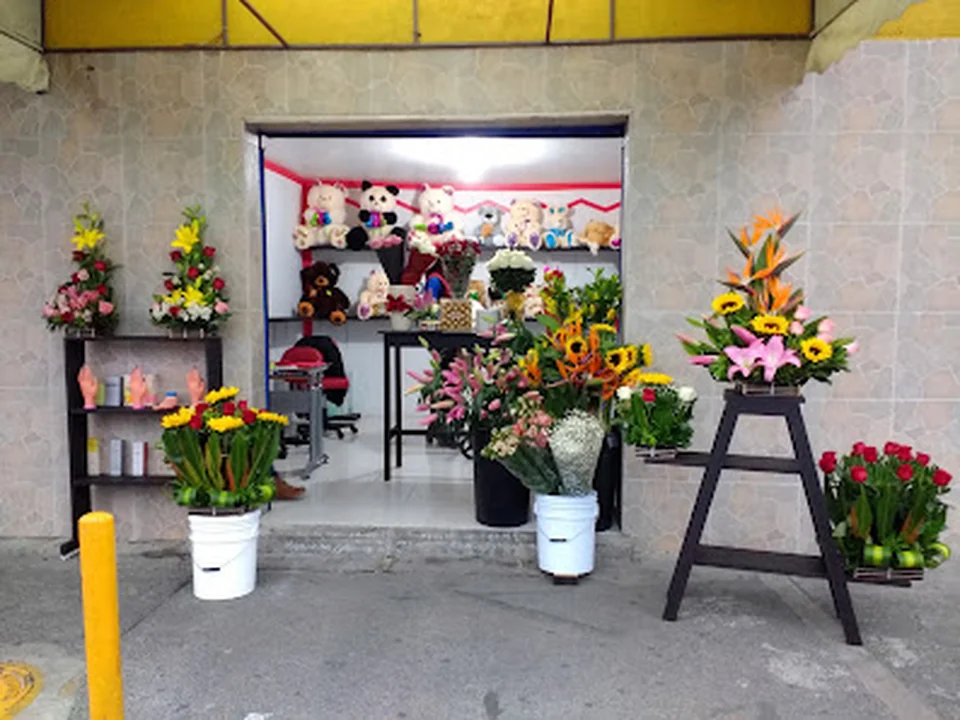 Florería Envía Rosas - Envía flores a domicilio en Nezahualcóyotl, Oriente Cdmx y Chimalhuacán, Ciudad de México
