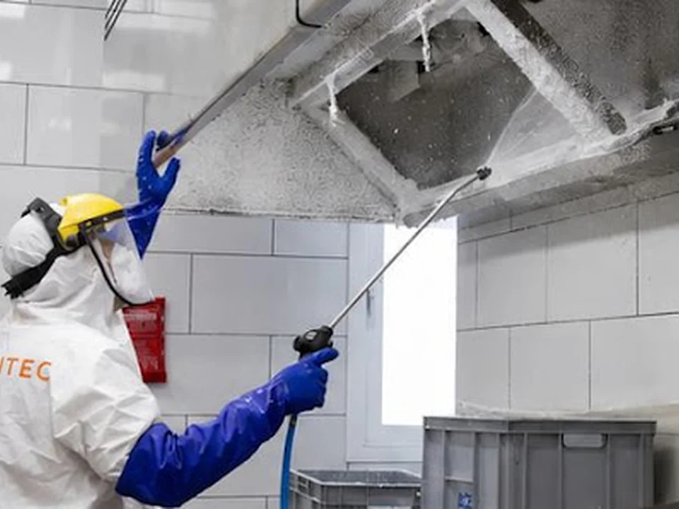 ANTEC - Fumigación y Control de Plagas en CDMX, Ciudad de México