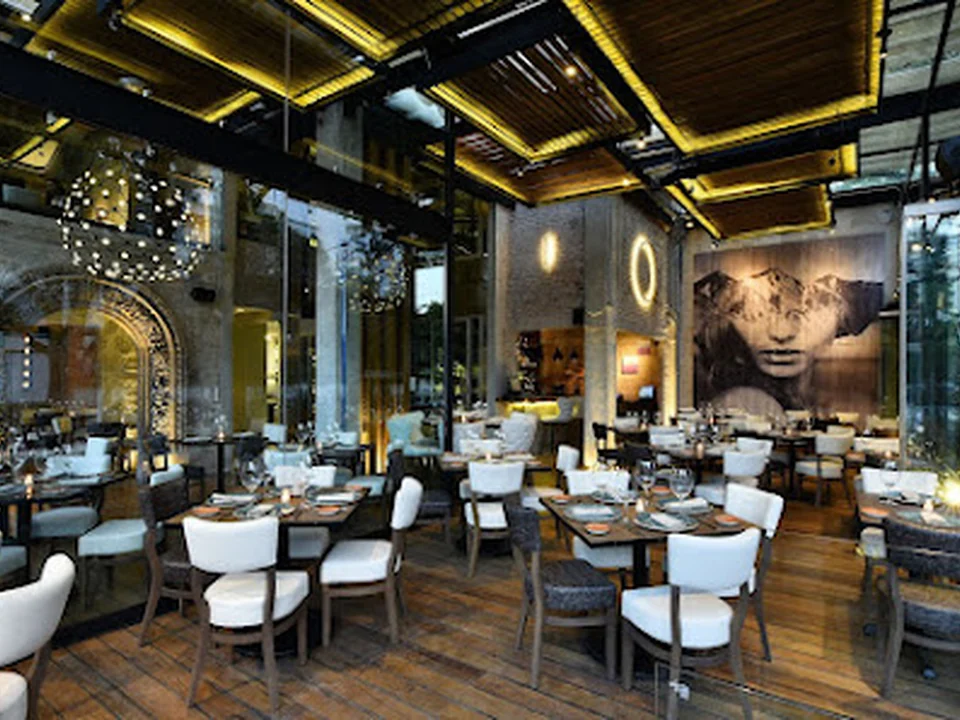 RosaNegra | Latin American Restaurant in Polanco, Ciudad de México