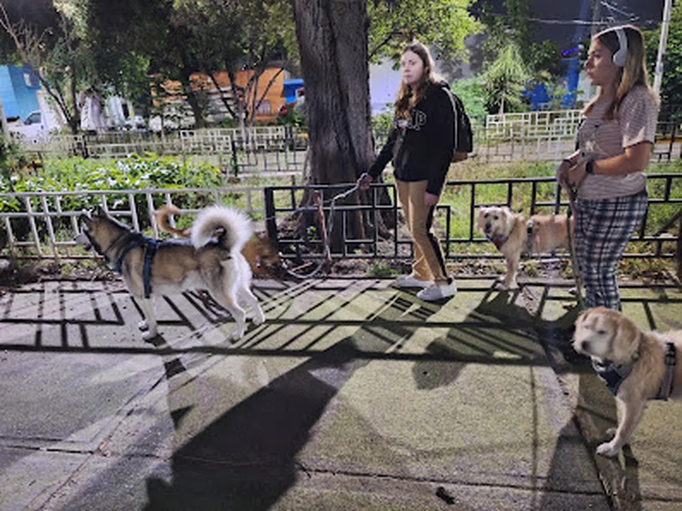 LA CASA DE LAS MASCOTAS!!, Ciudad de México