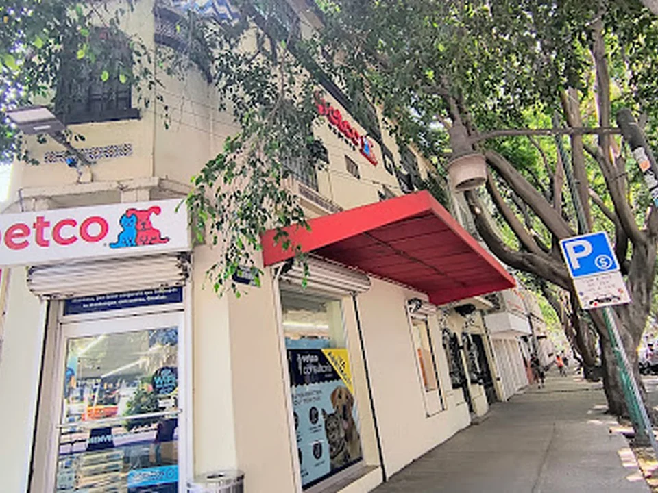 Petco Condesa Huichapan, Ciudad de México