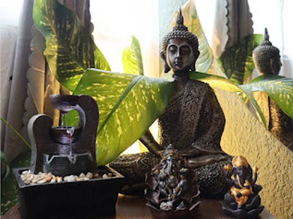 Haim Spa, Wellness Spa - CDMX, Ciudad de México