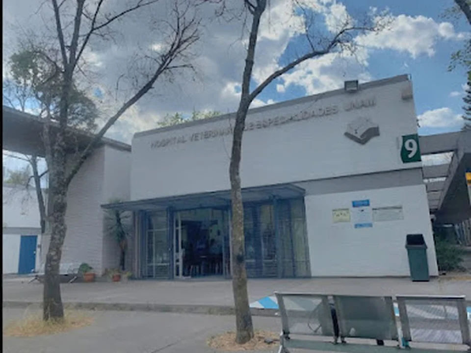Hospital Veterinario de Especialidades UNAM, Ciudad de México