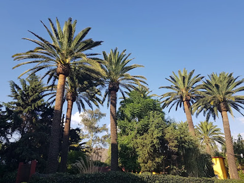 Hermoso Jardín, Ciudad de México