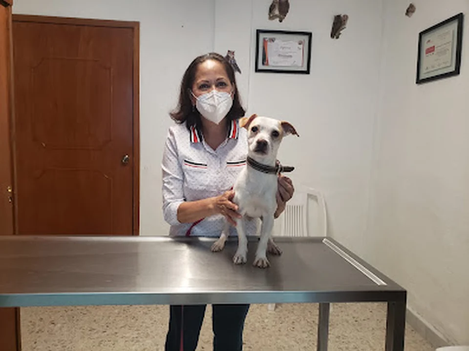 Clínica Veterinaria Cristal, Ciudad de México