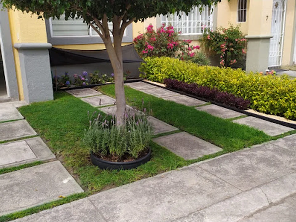 Jardify Jardinería y Paisajismo Condesa, Ciudad de México