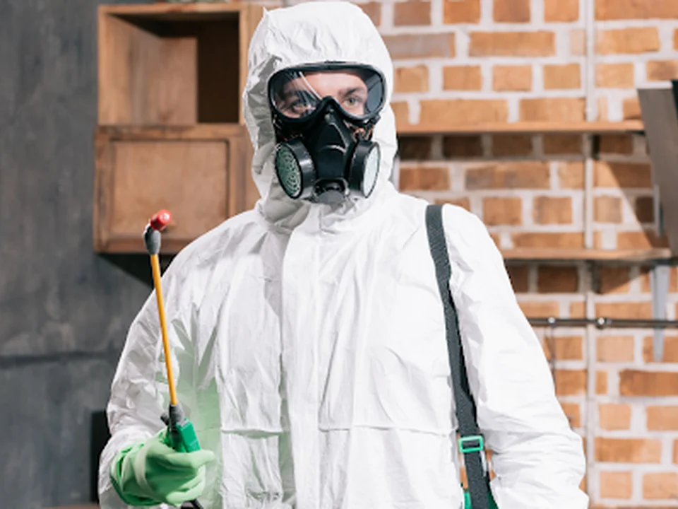Fumigaciones, Control de Plagas Y Sanitizaciones CDMX, Ciudad de México