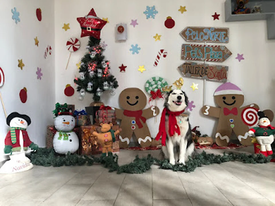 PET´S PLAZA Guardería para Mascotas en Narvarte | Estetica Canina en Narvarte | Veterinaria en Narvarte, Ciudad de México