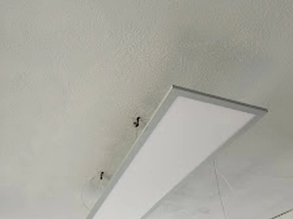 Electricista residencial, comercial e Industrial, Ciudad de México
