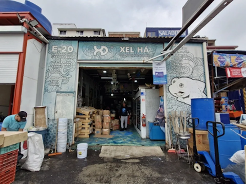 Comercializadora Xel-Ha, Ciudad de México