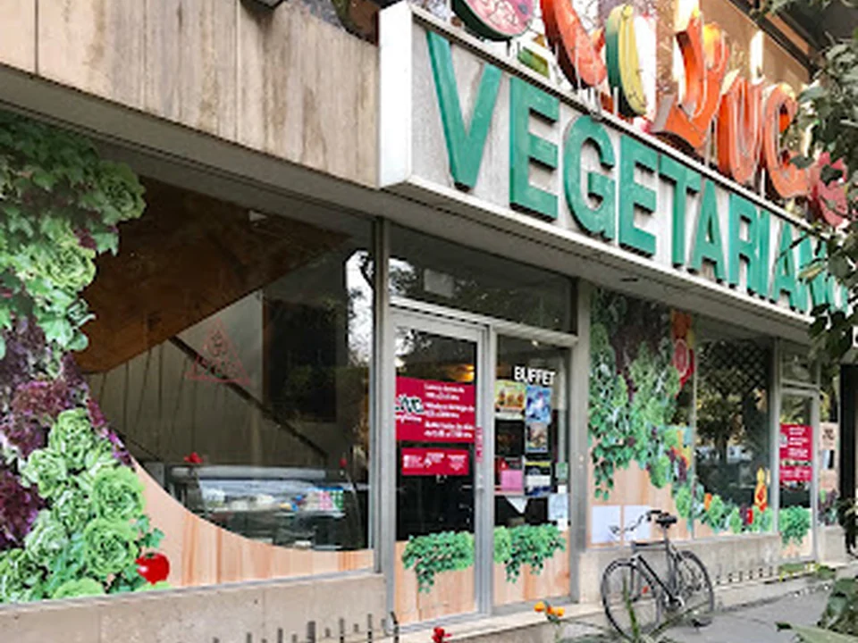 Yug Vegetariano, Ciudad de México