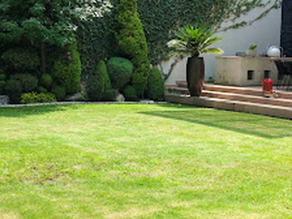 Jardíneria Green Hands, Ciudad de México