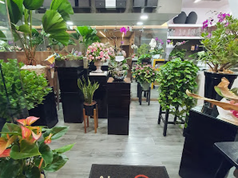 Florería Alamore Diseño floral son los mejores 👏🏼👏🏼👏🏼👏🏼👏🏼, Ciudad de México