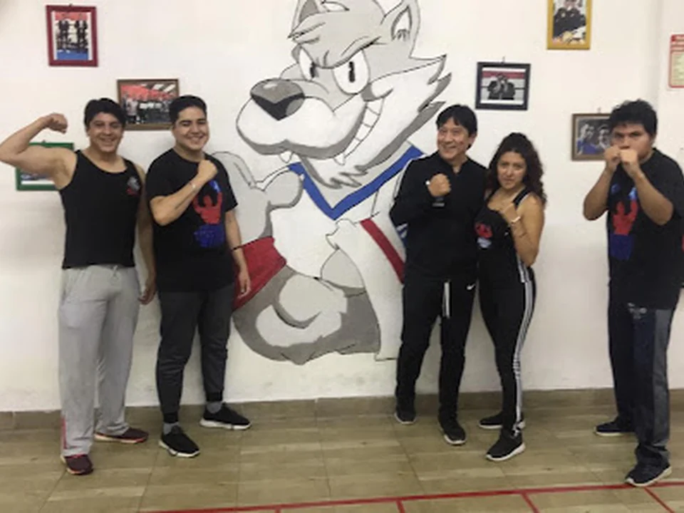 Academia de Boxeo HH, Ciudad de México