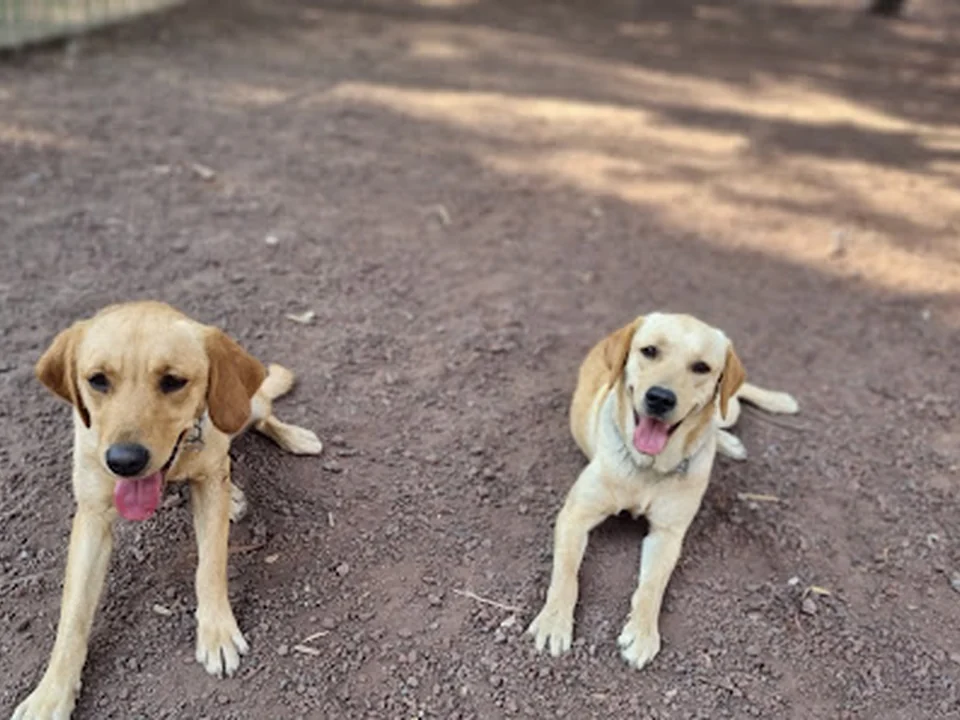 Parque Canino "M. Luisa"., Ciudad de México