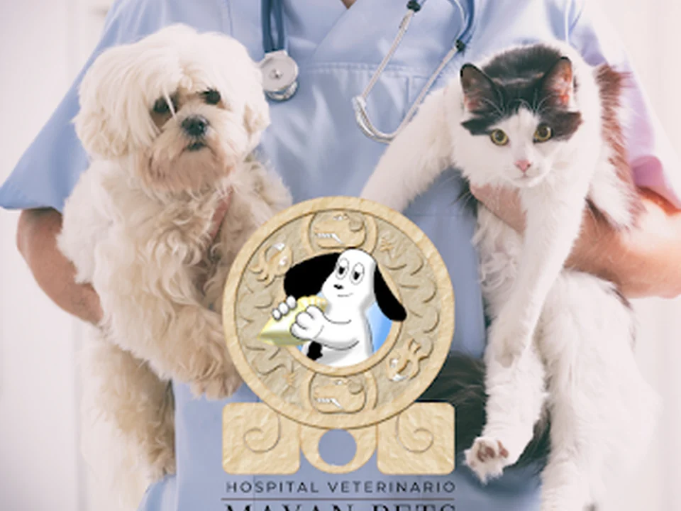 HOSPITAL VETERINARIO MAYAN PETS, Ciudad de México