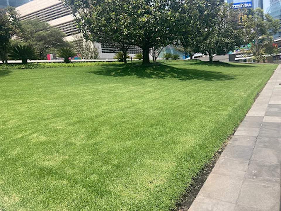 Jardineros Condesa, Ciudad de México