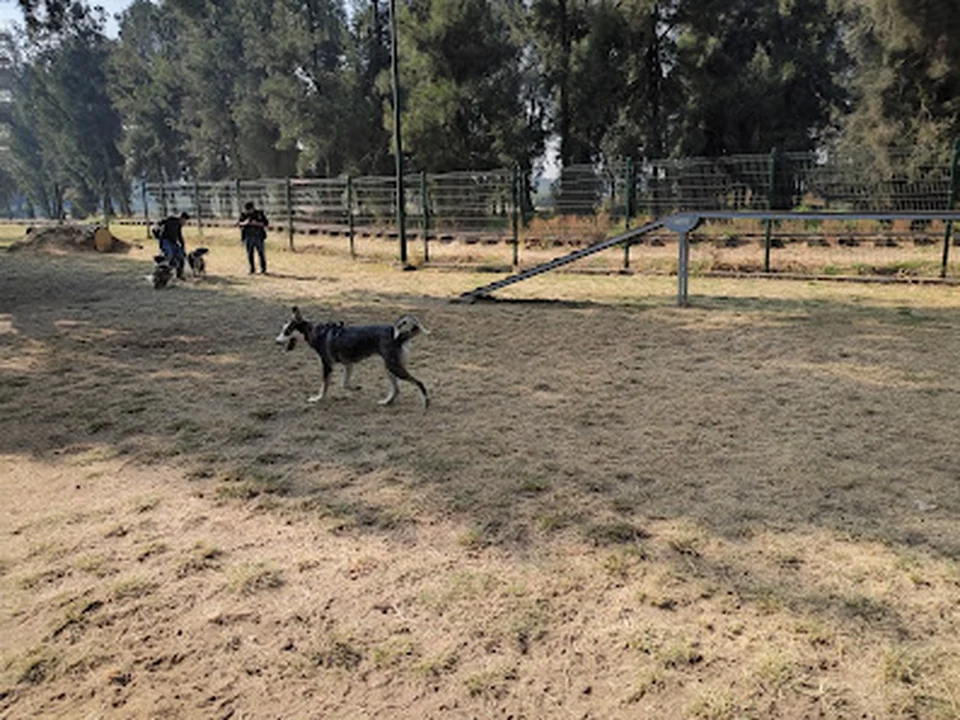 Parque Canino, Ciudad de México