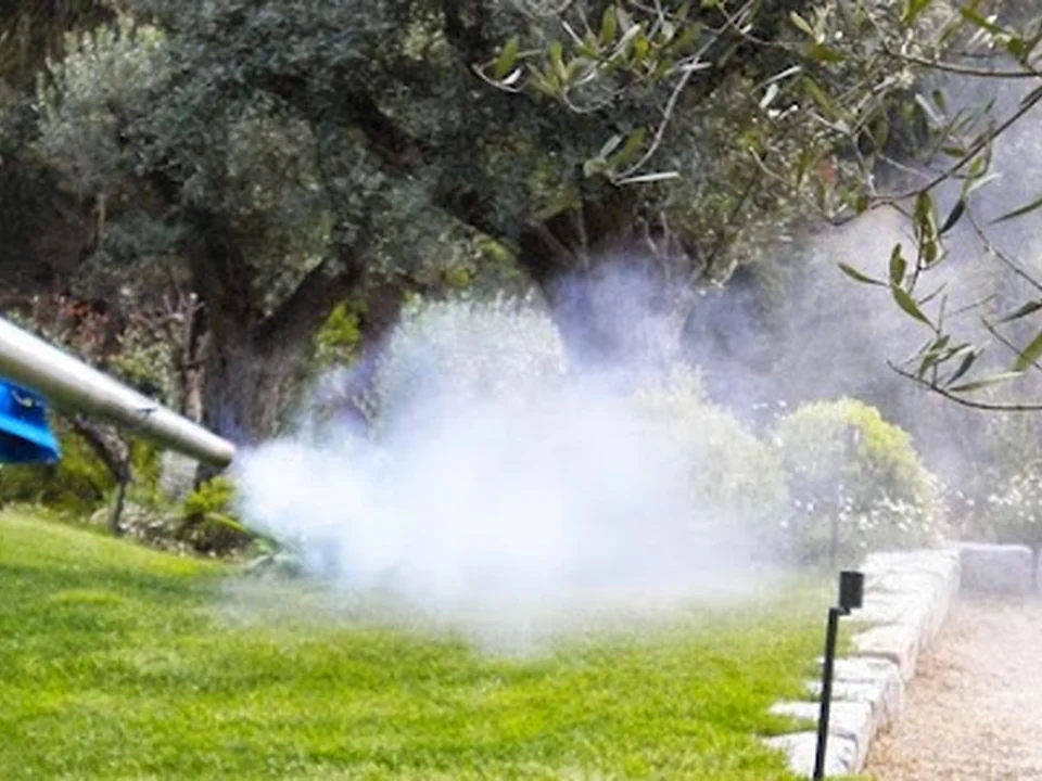 864 Fumigaciones, Ciudad de México