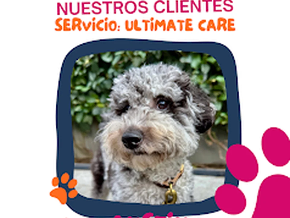 PetCare México, Ciudad de México