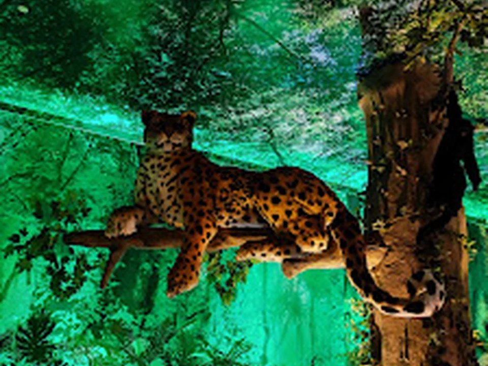 Museo Yancuic, Ciudad de México