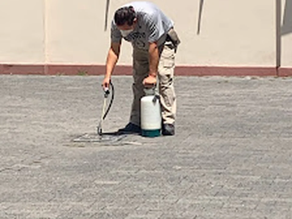 Fumigaciones Inteligentes, Ciudad de México