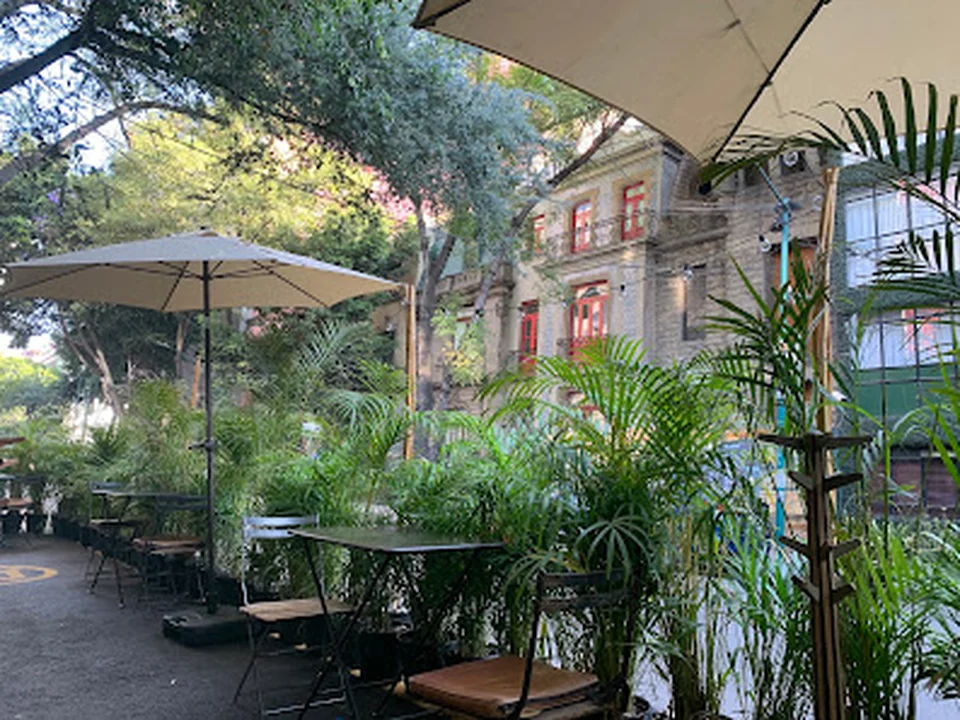 Café Nin, Ciudad de México