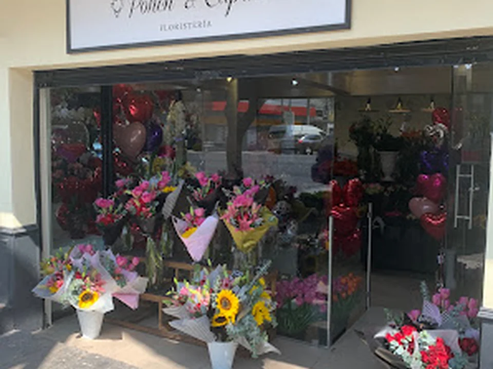 Florería Ponch' & Capricó | Envía Flores a Domicilio CDMX, Ciudad de México