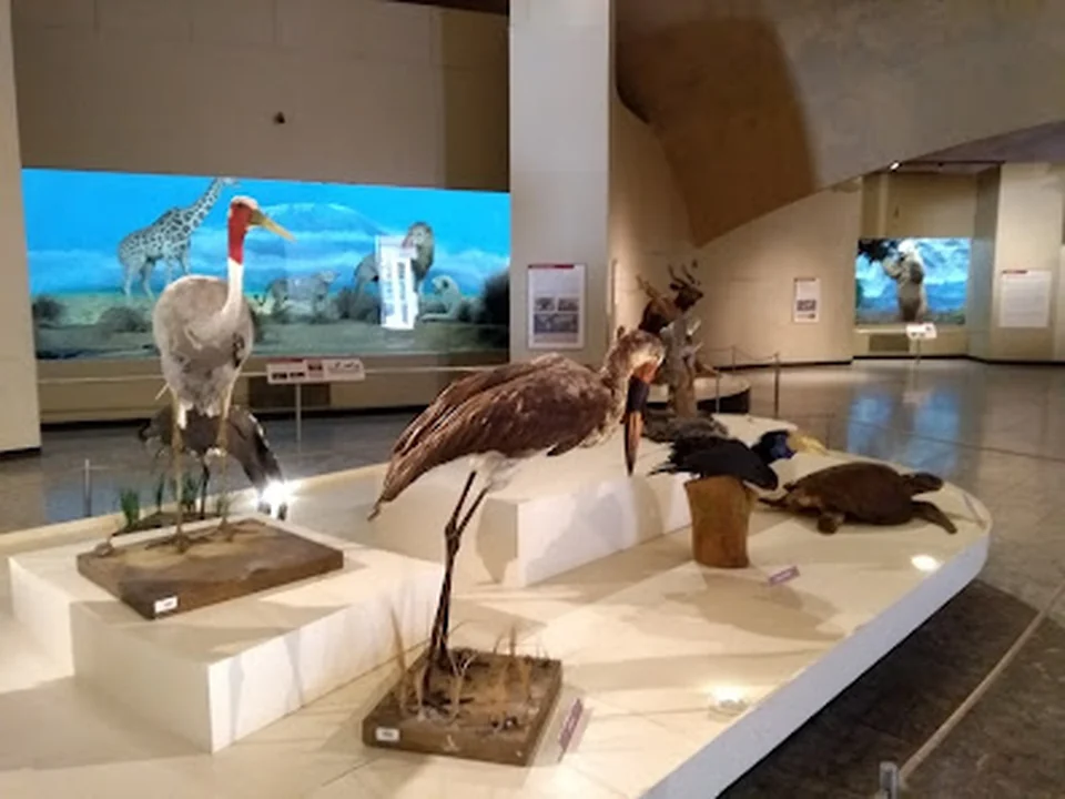 Museo de Historia Natural y Cultura Ambiental, Ciudad de México